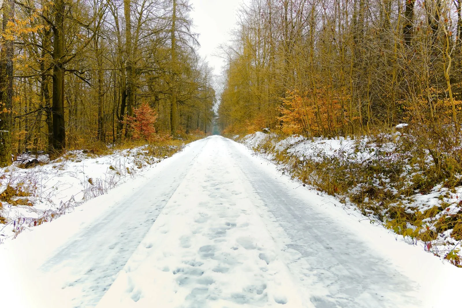 Hiver à Saint-Sauveur