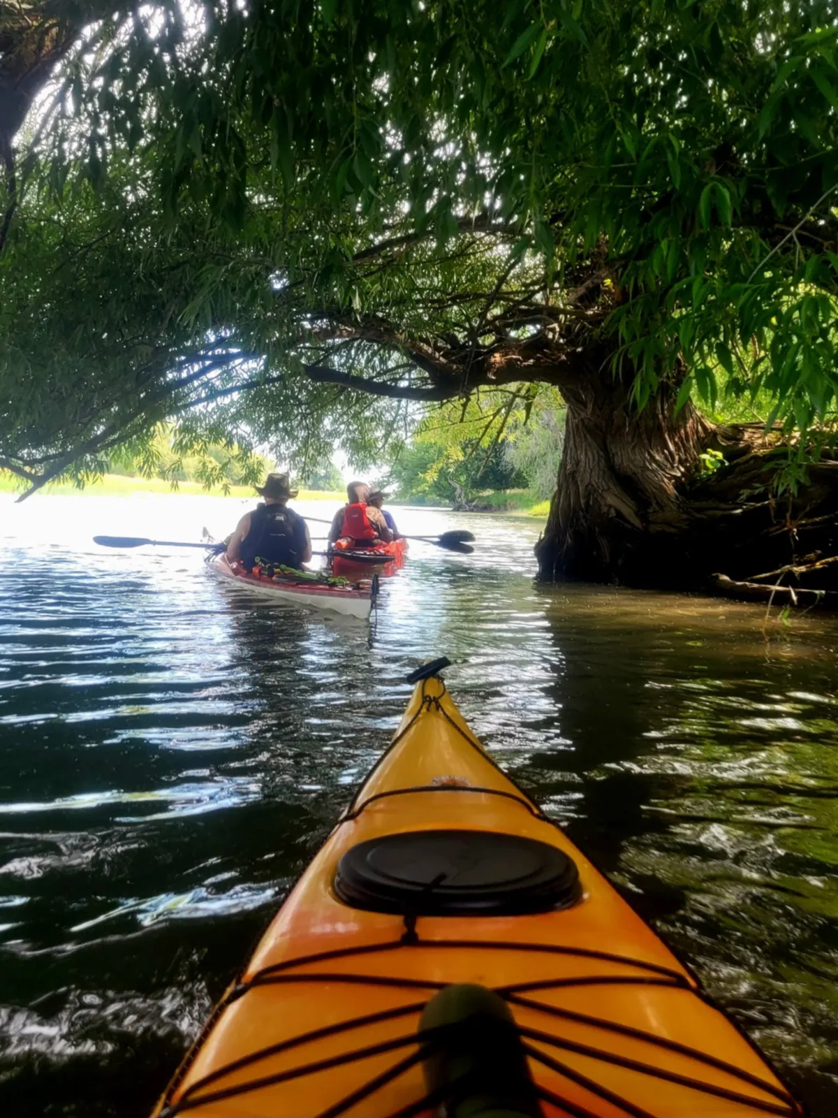 Excursions Kayakalo — photo 2