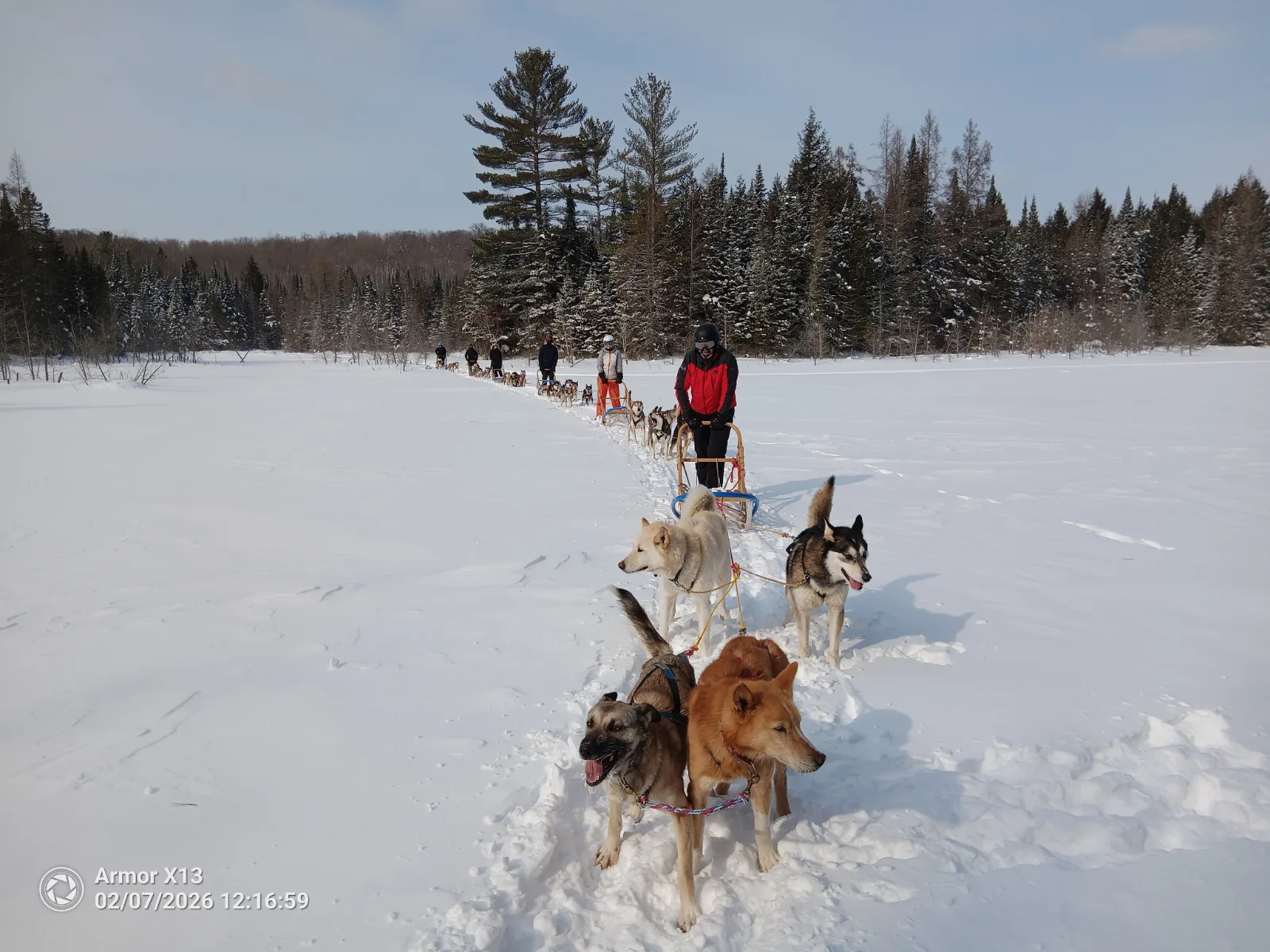 Meute Tanwen Traîneaux à chiens — photo 6