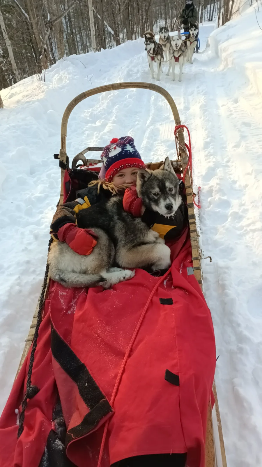 Meute Tanwen Traîneaux à chiens — photo 7
