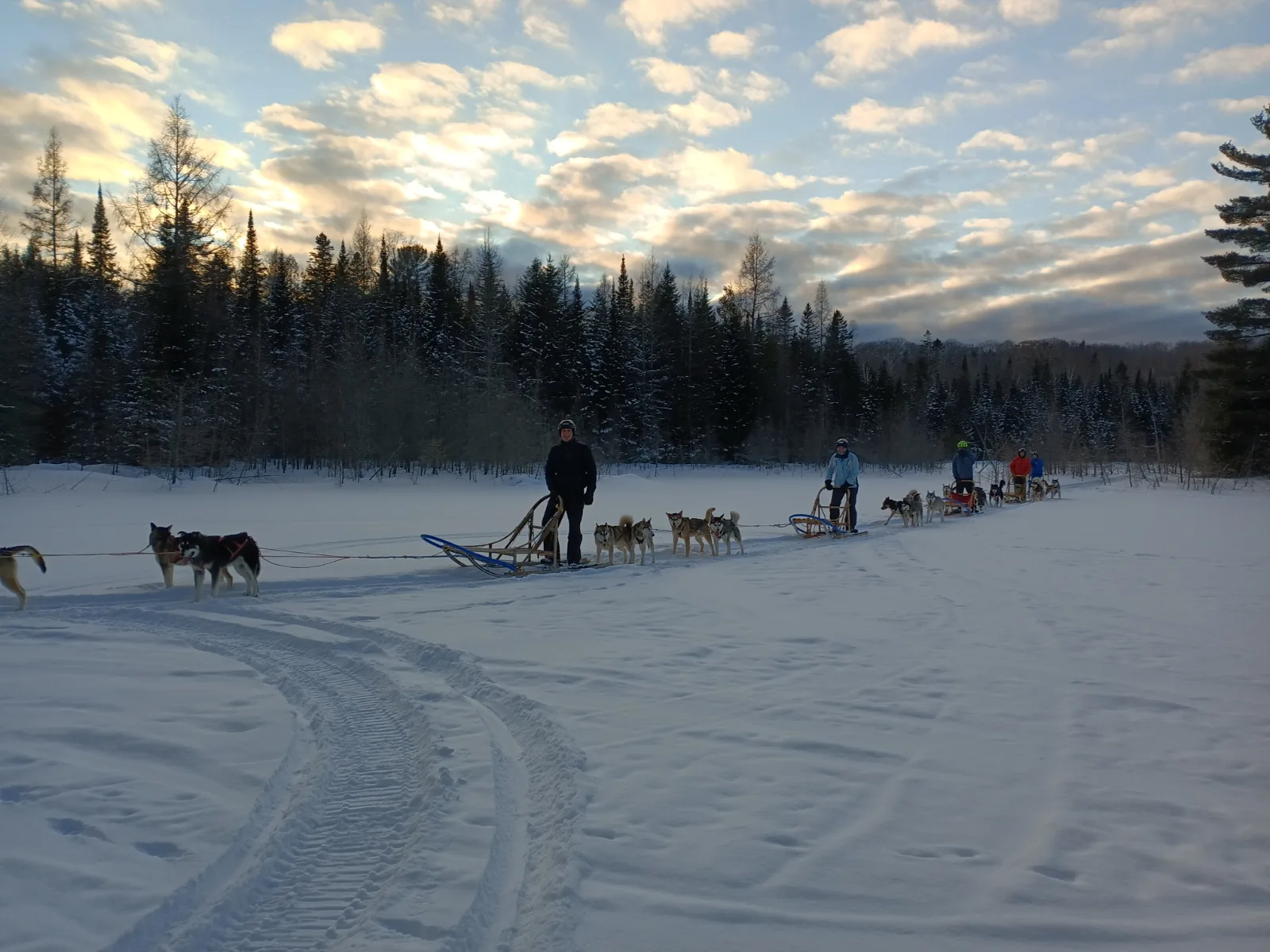 Meute Tanwen Traîneaux à chiens — photo 8