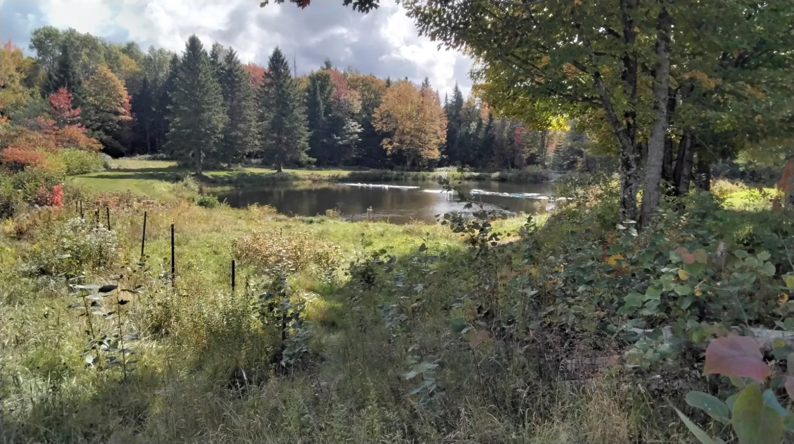 Domaine Terre-eau — photo 2