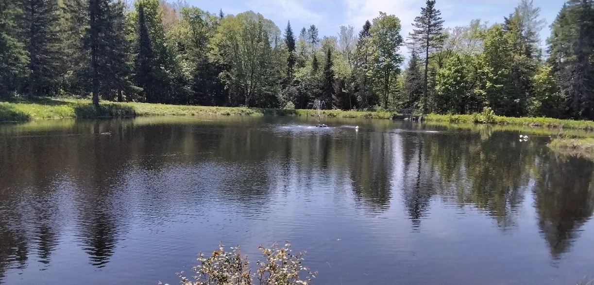 Domaine Terre-eau — photo 3