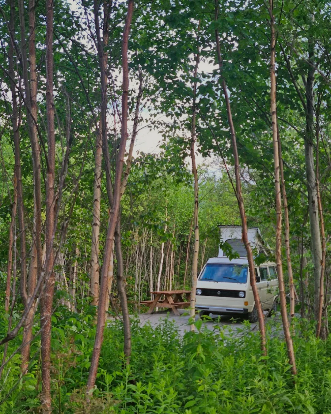 Malherbe | Refuge et camping nature — photo 4