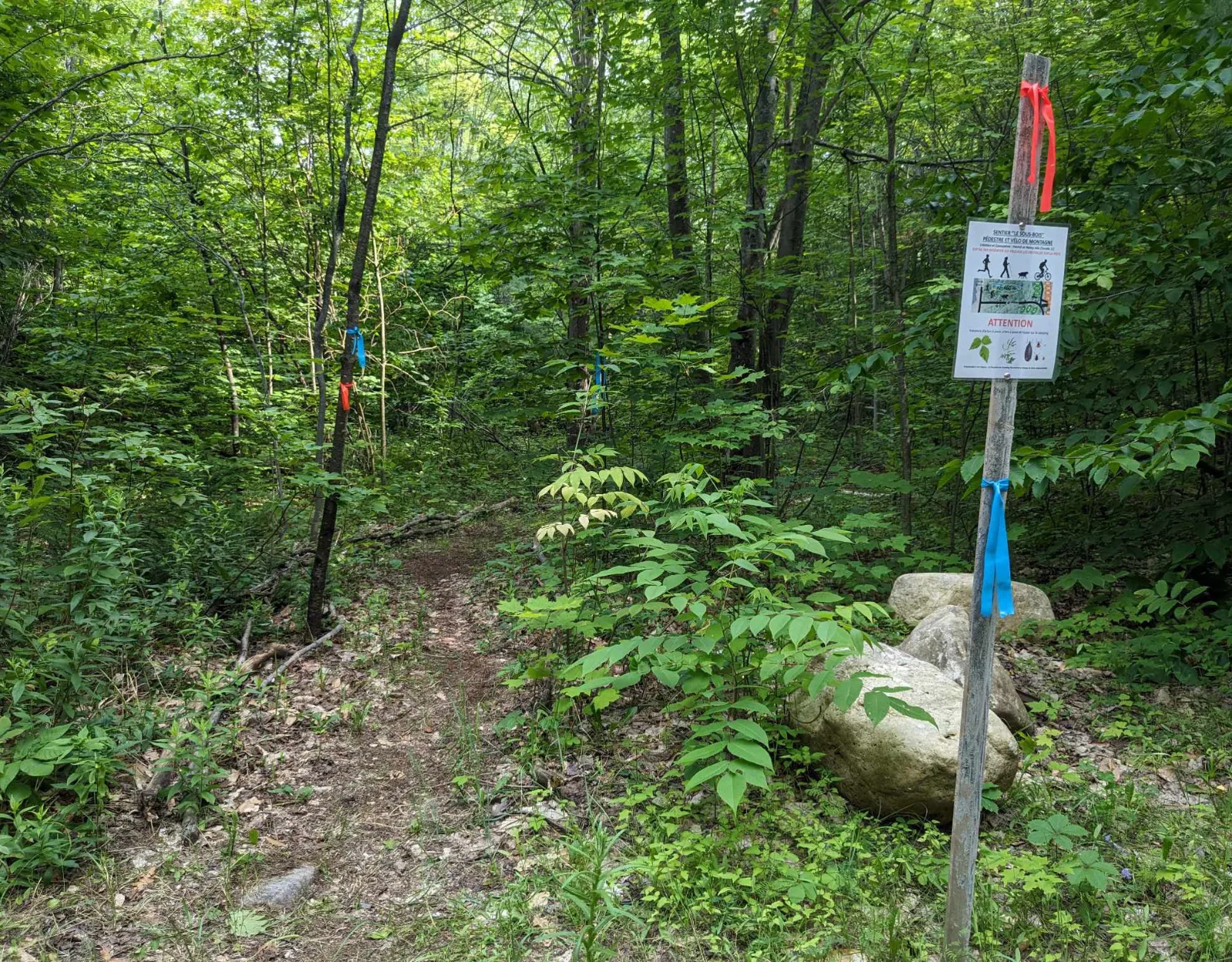 Camping Ste-Justine — photo 7