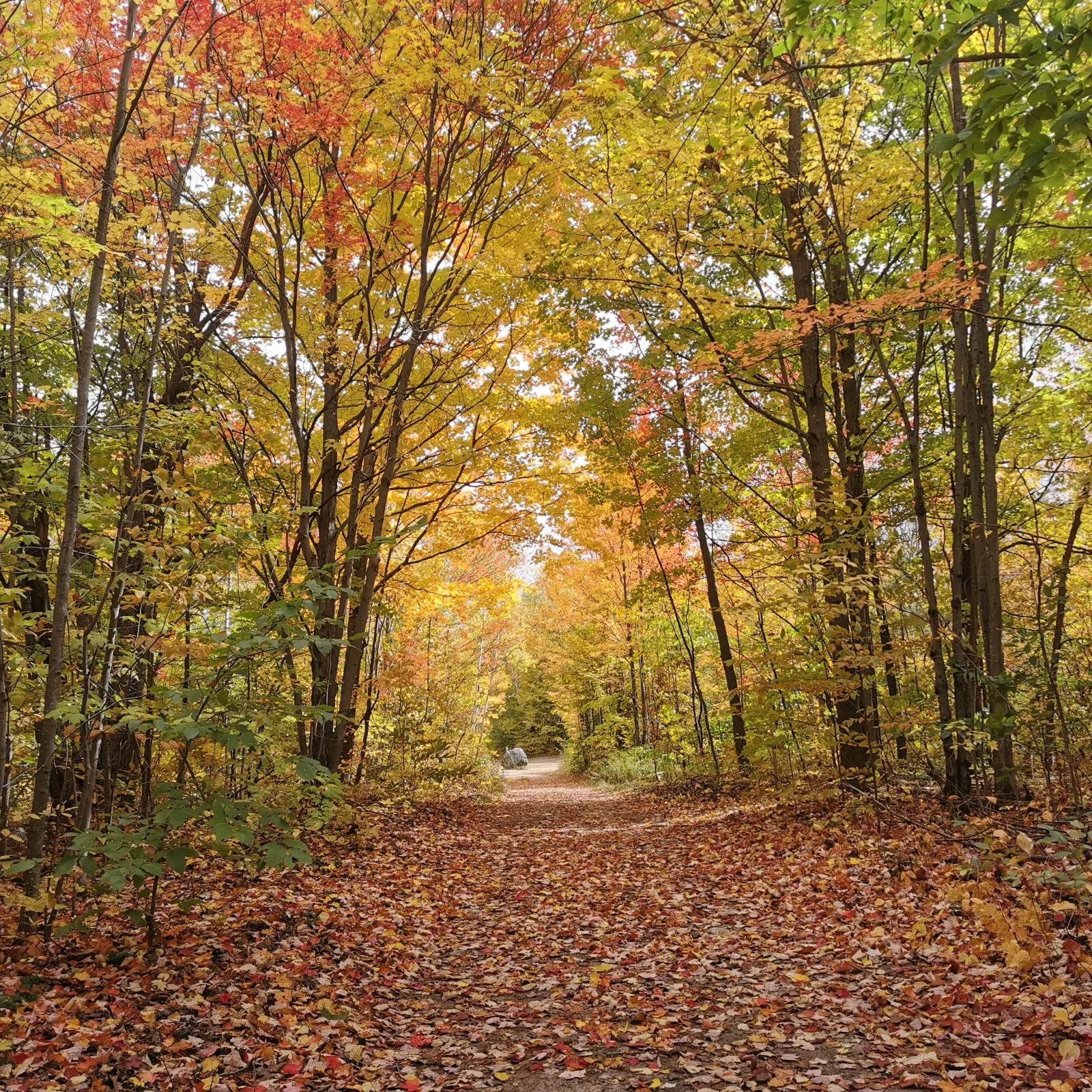 Camping Ste-Justine — photo 11