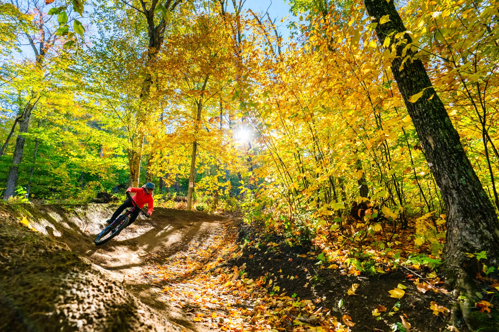Parc vélo Sommet Saint-Sauveur — photo 7