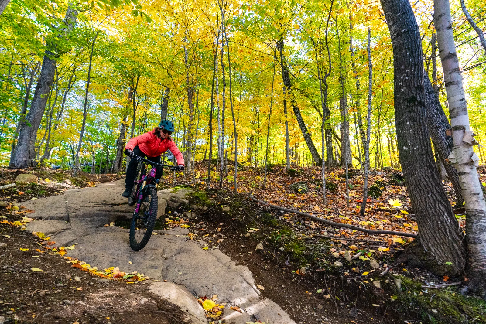 Parc vélo Sommet Saint-Sauveur — photo 8