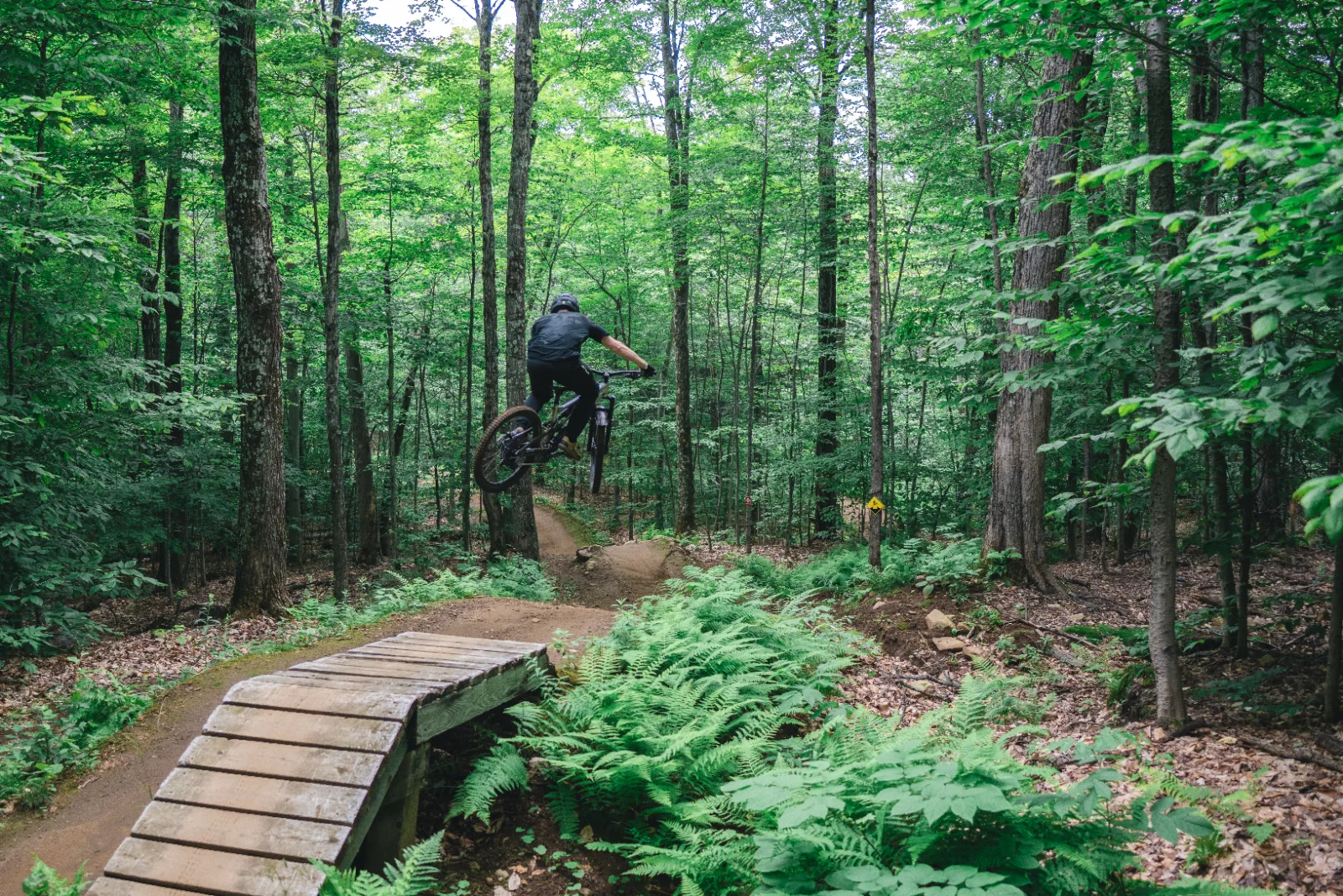 Parc vélo Sommet Saint-Sauveur — photo 10