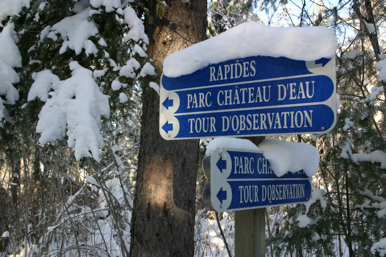 Réseau Bell - Nature — photo 5
