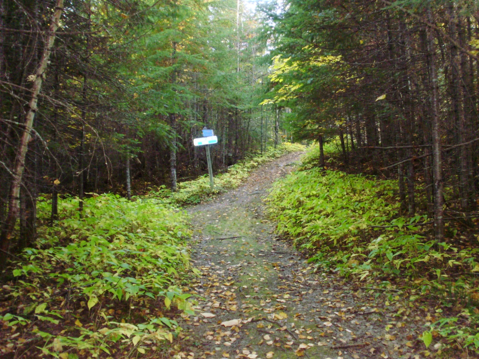Réseau Bell - Nature — photo 7