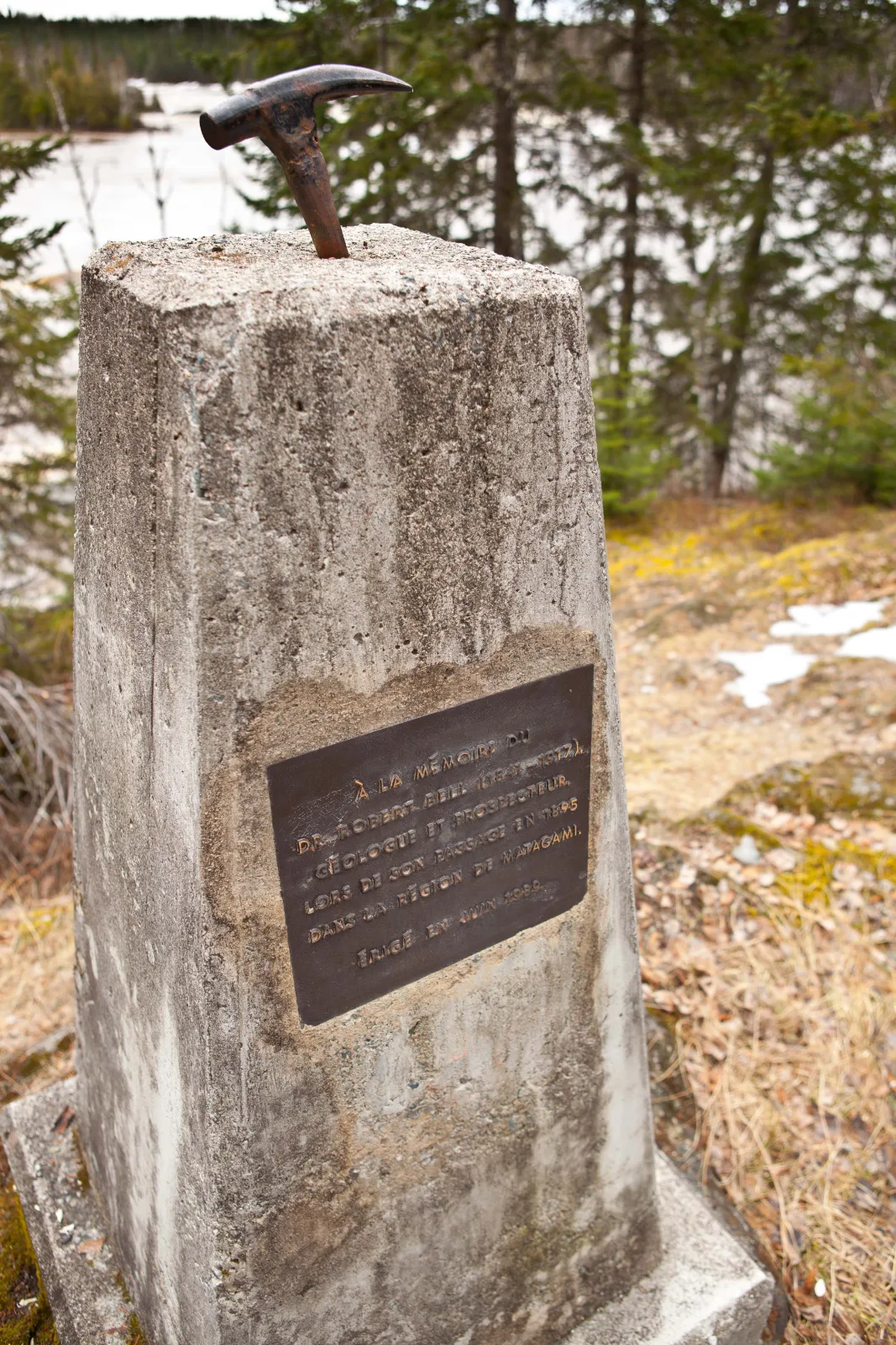 Réseau Bell - Nature — photo 11