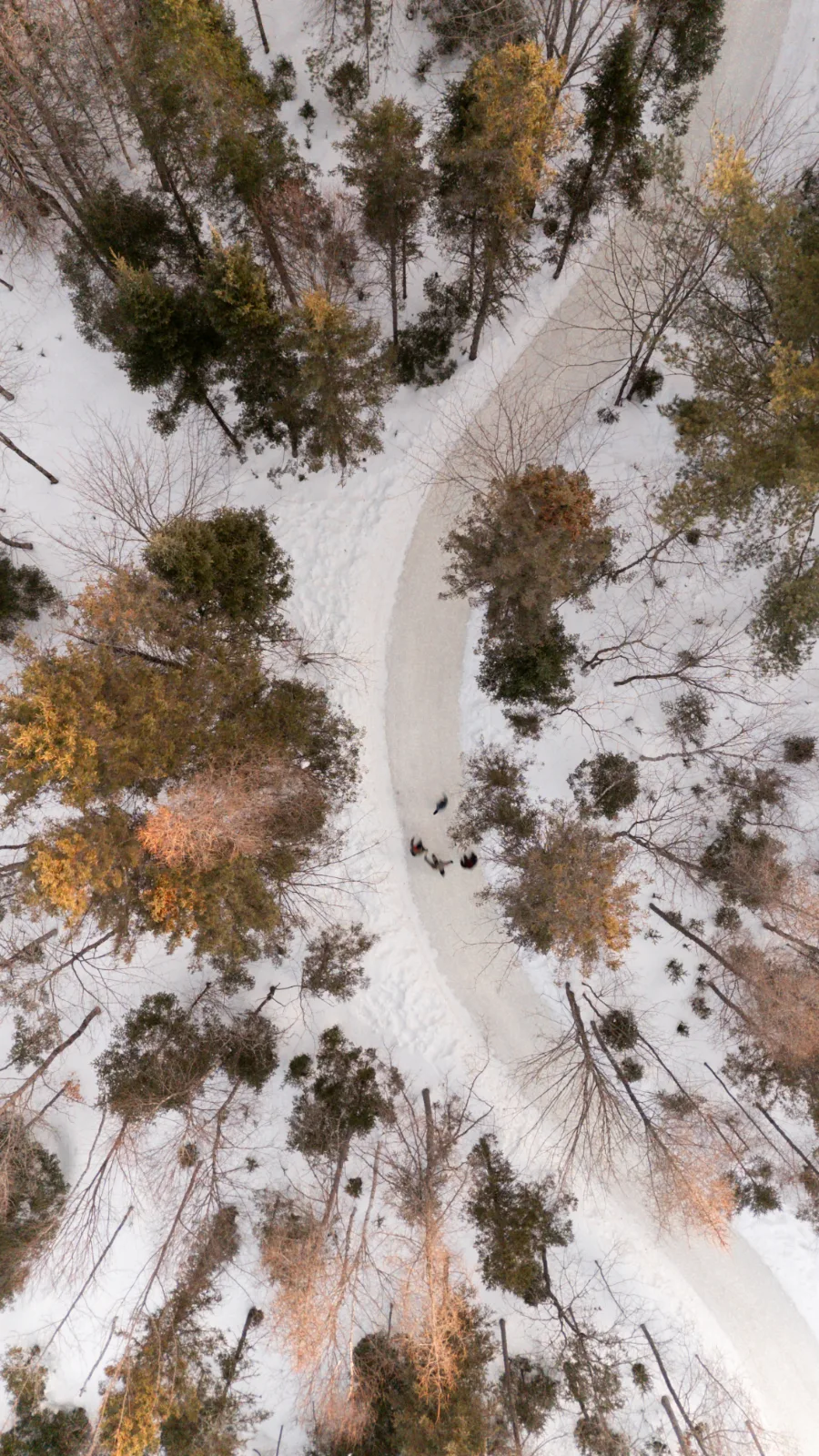 Forêt Ô Cascades - Centre de plein air — photo 4