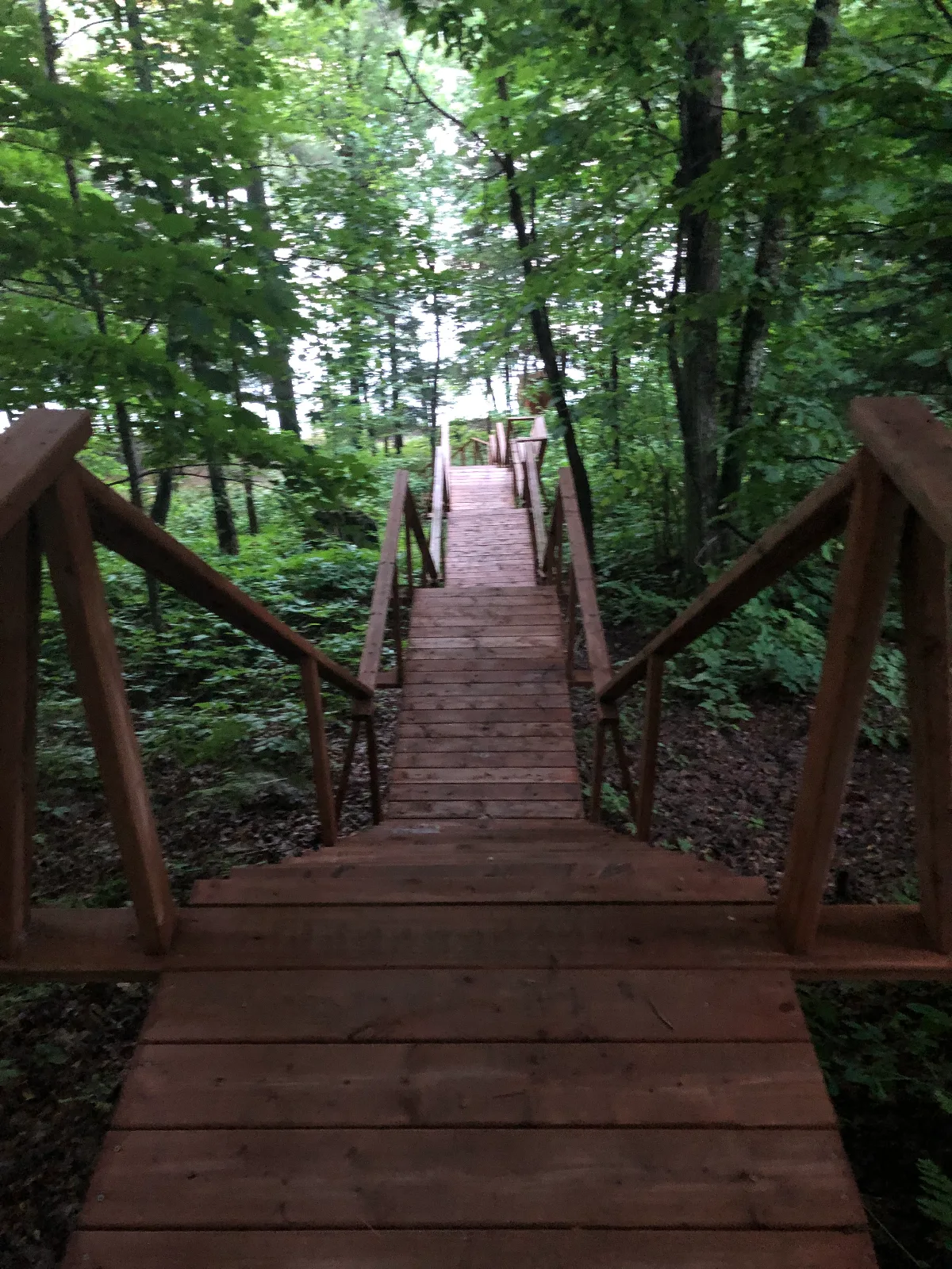 La Petite Chaumière — photo 5