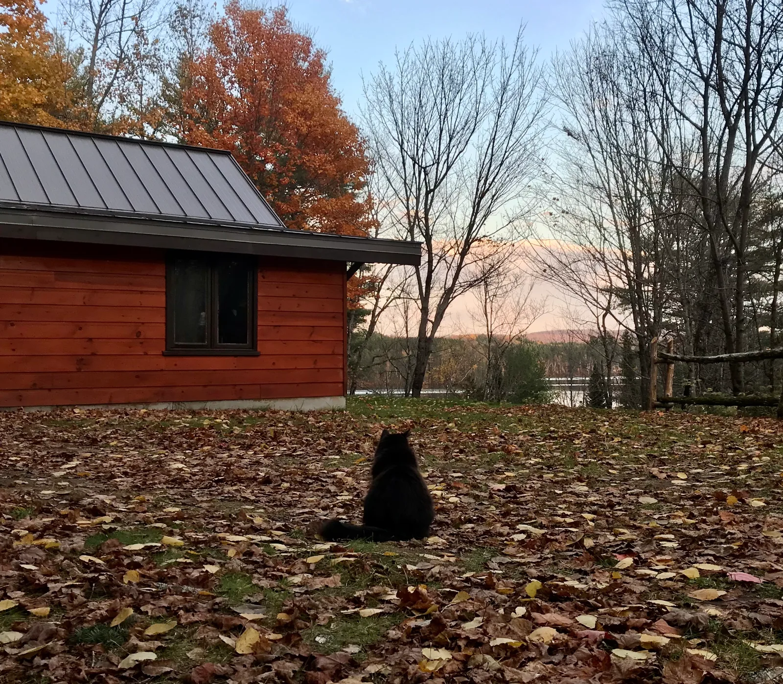 La Petite Chaumière — photo 7