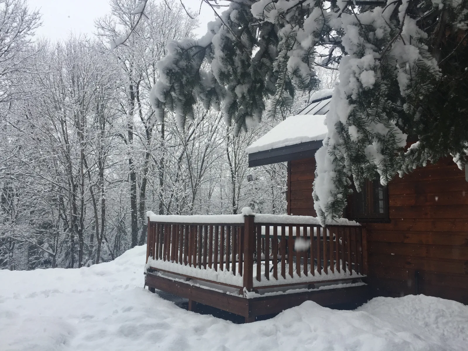 La Petite Chaumière — photo 9