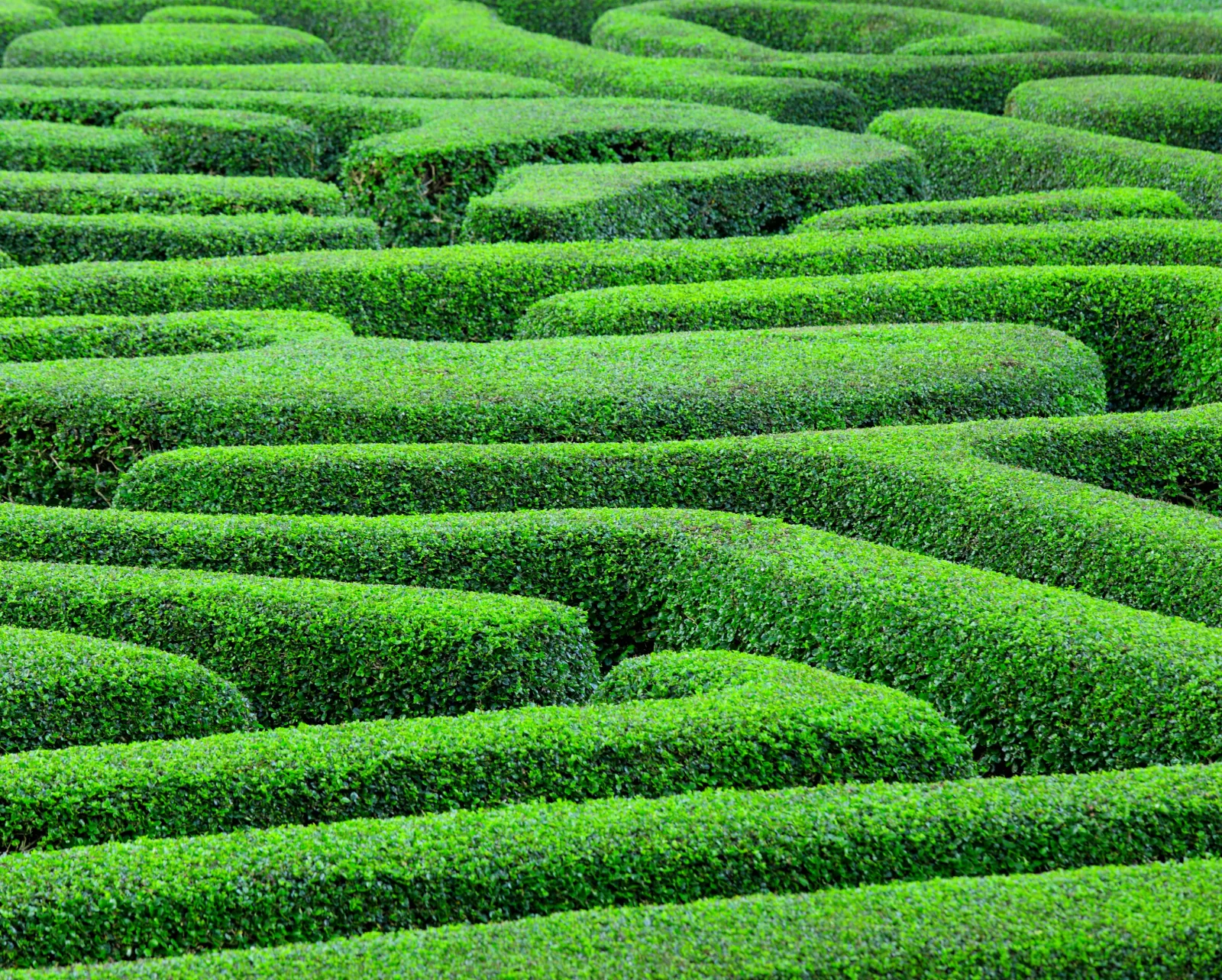 Mazes in Quebec