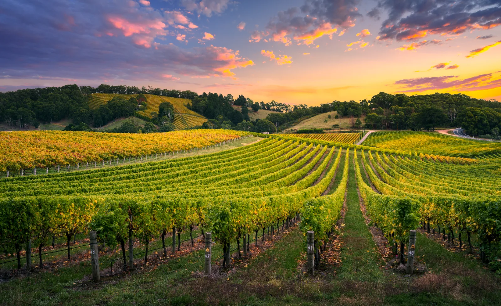 Vignobles du Québec