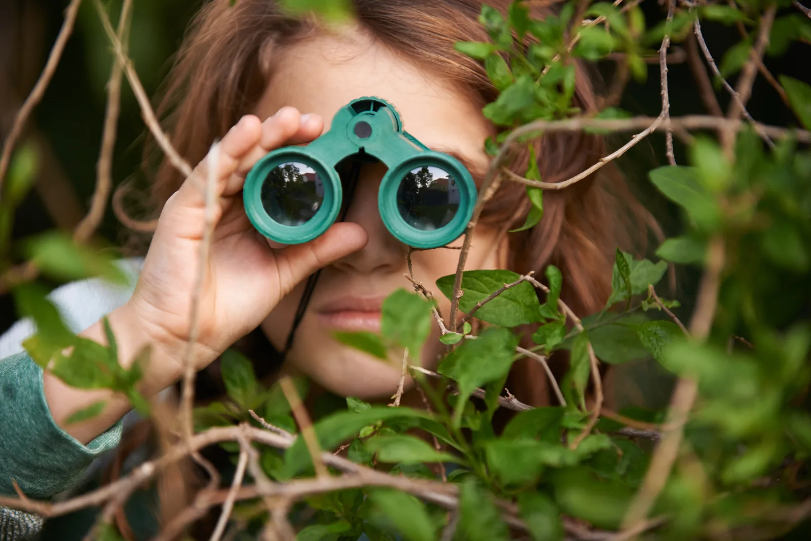 Nature & observation au Québec