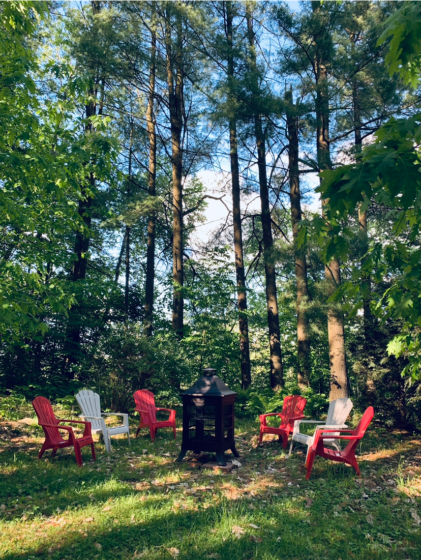 L'oasis — photo 1