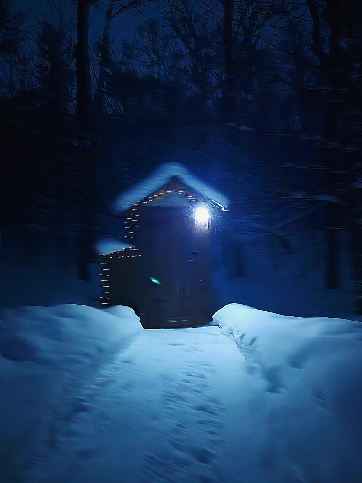 Chalet Le Naturel — photo 6