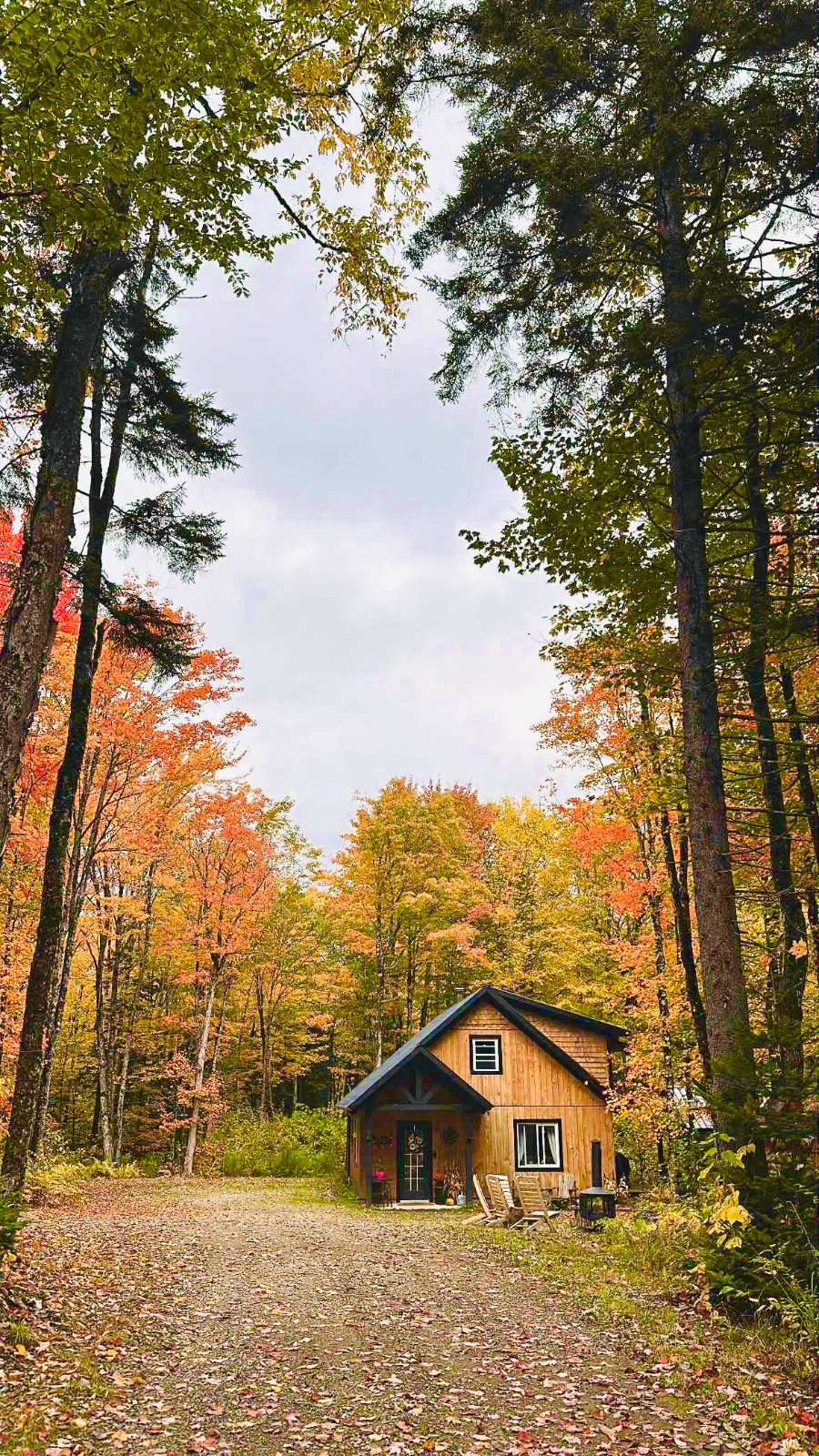 Mont Chalet — photo 1
