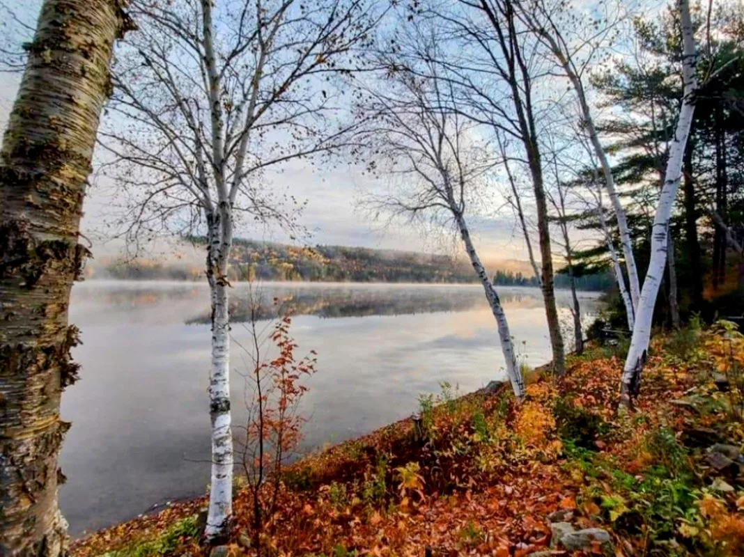 Chalet Rustique la Cabane — photo 10