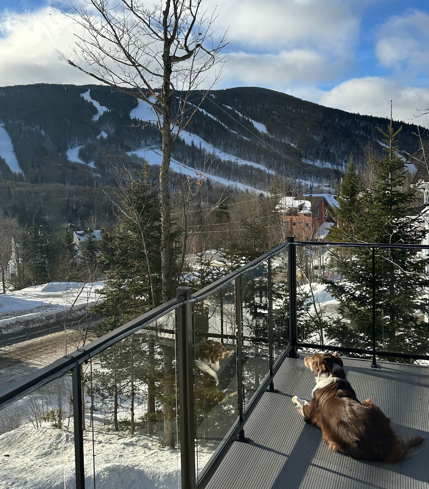 Skyvue — photo 7