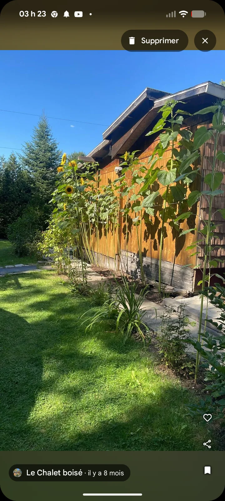 Le Chalet Boisé — photo 5