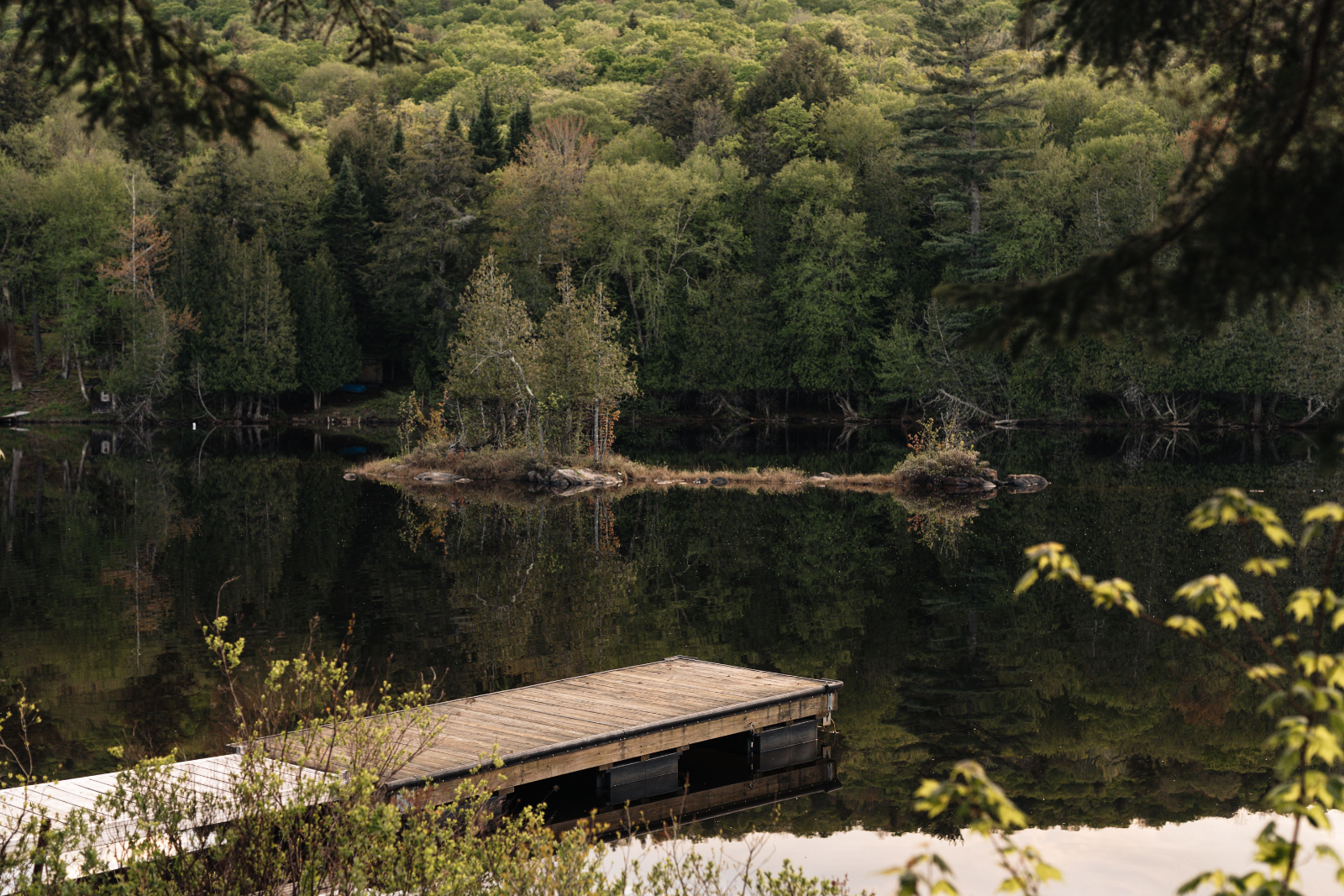 Chalet Sérénité Boréale — photo 6