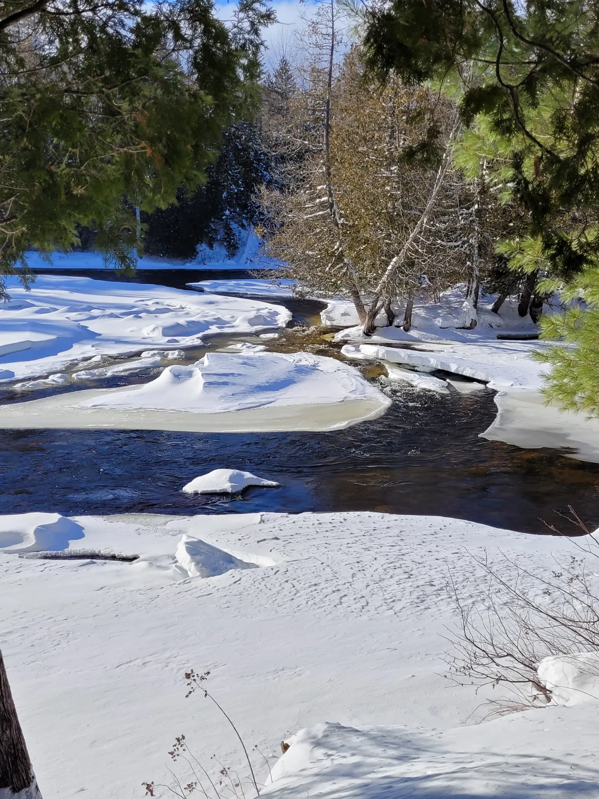 Le Petit Ouareau — photo 4