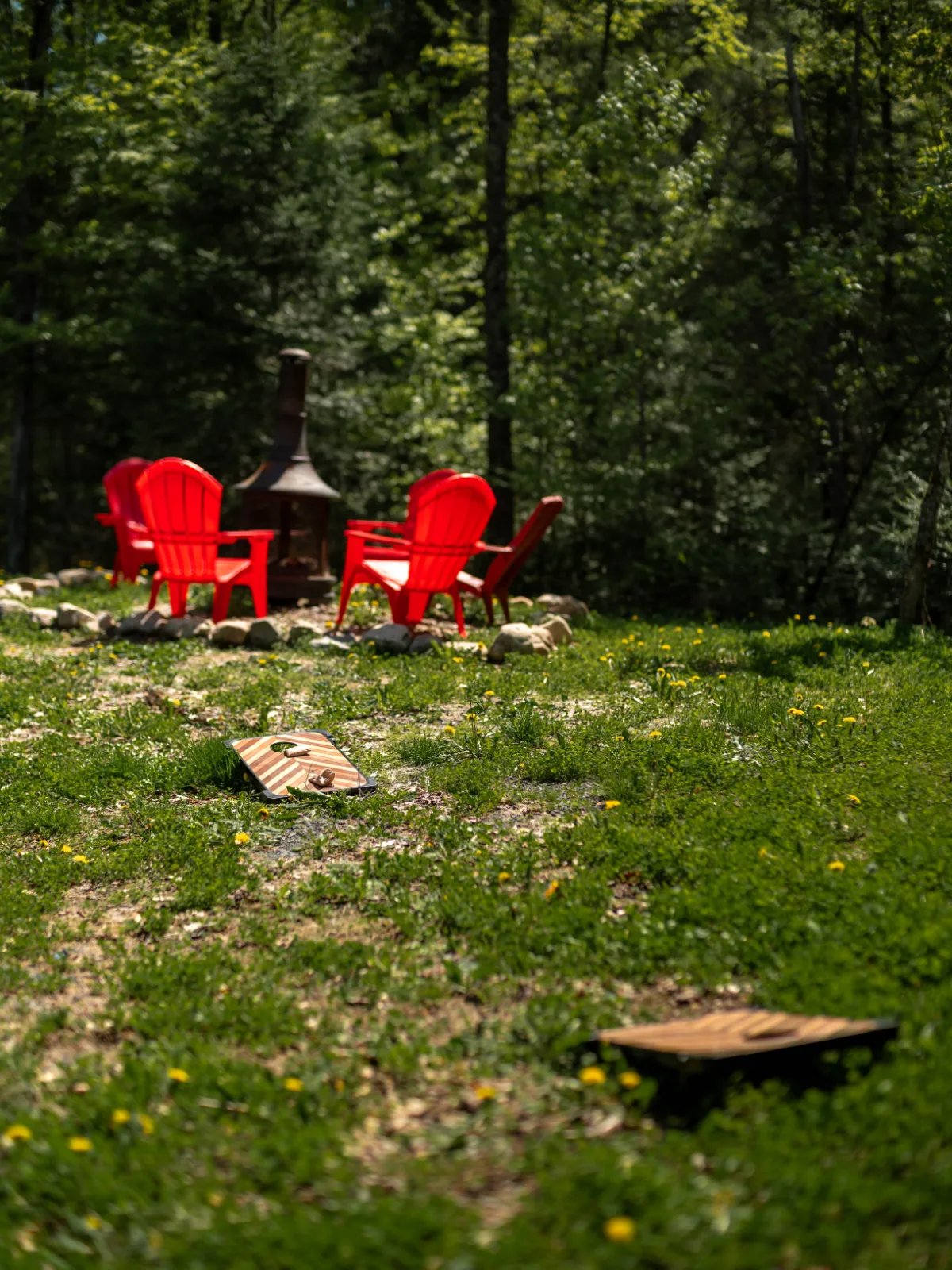 Roitelet | Spa & Billard| Lac Carling & Kayak — photo 5