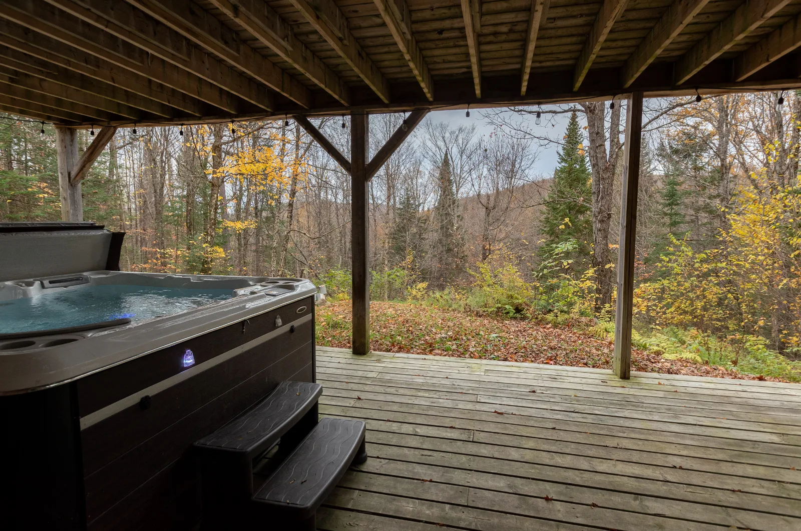Carriole | Spa Privé & BBQ | Nature & Randonnée — photo 7