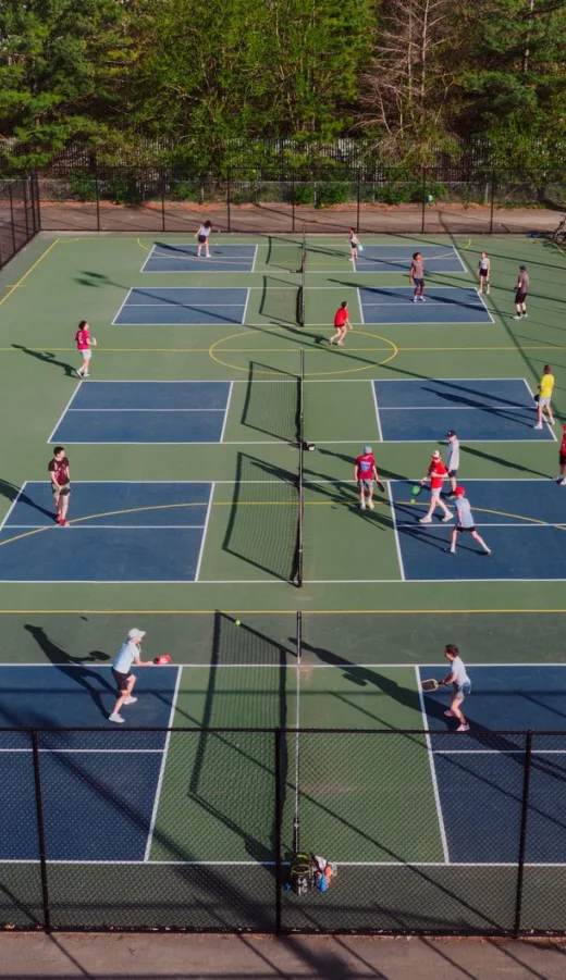 Action Pickleball