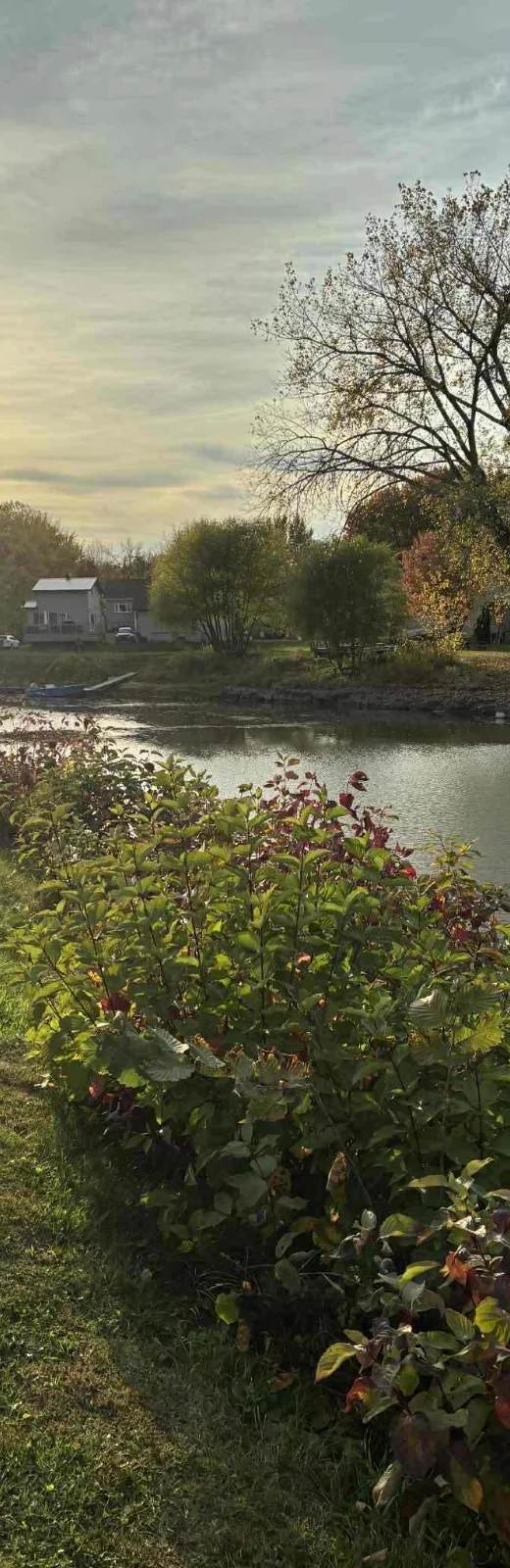 Camping et Marina Louiseville