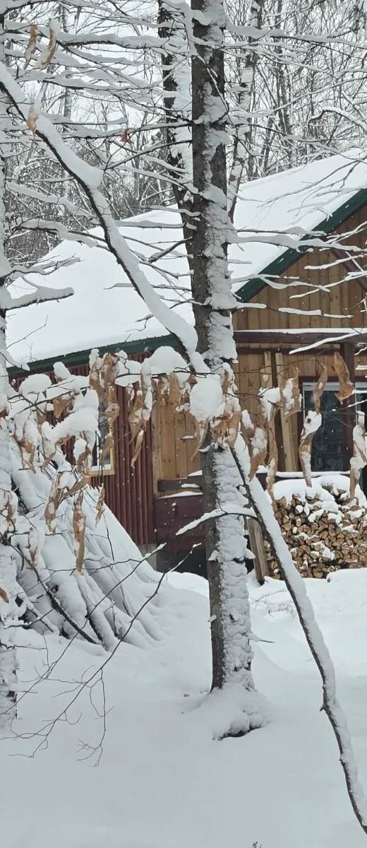 Chalet Le Naturel