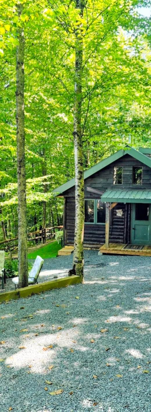 Chalet Rustique la Cabane