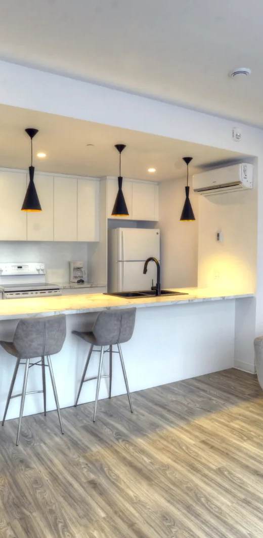 Loft 1325 (Gestion Camisa)