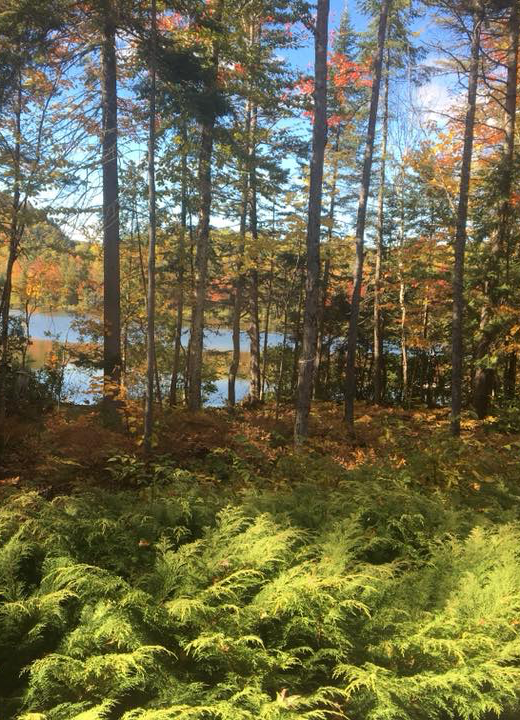 Le Petit Bois en Mauricie